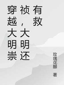 穿越大明崇祯朱琏小说
