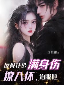盛装电视剧全集免费观看
