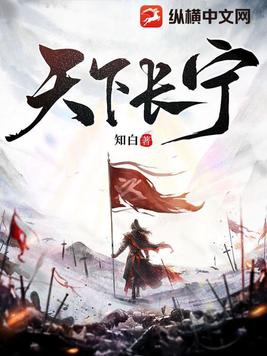天下长宁笔趣5200免费全文