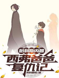 哈利波特斯内普的回忆在哪季