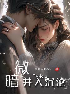 对你暗里着迷小说